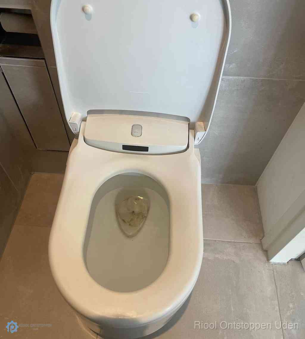 Toilet Ontstoppen Uden